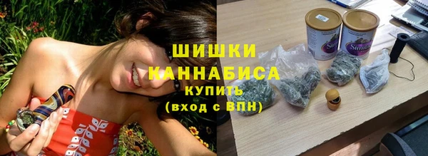 молекула духа Медногорск