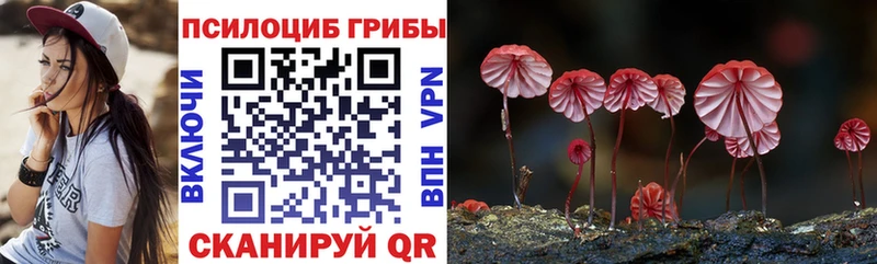Галлюциногенные грибы Cubensis Макаров